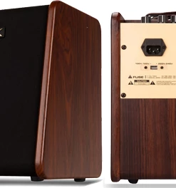 What's New NUX AC50 Stageman Acoustic Amplifier