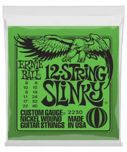 Ernie Ball 2230 12- String Slinky's Strings