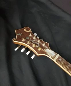 Bernard Allen Handcarved F-Style Mandolin (Brown) 9 Bernard Allen Handcarved F-Style Mandolin (Brown)