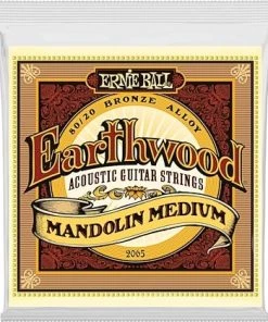 Ernie Ball Earthwood 2065 Mandolin Medium