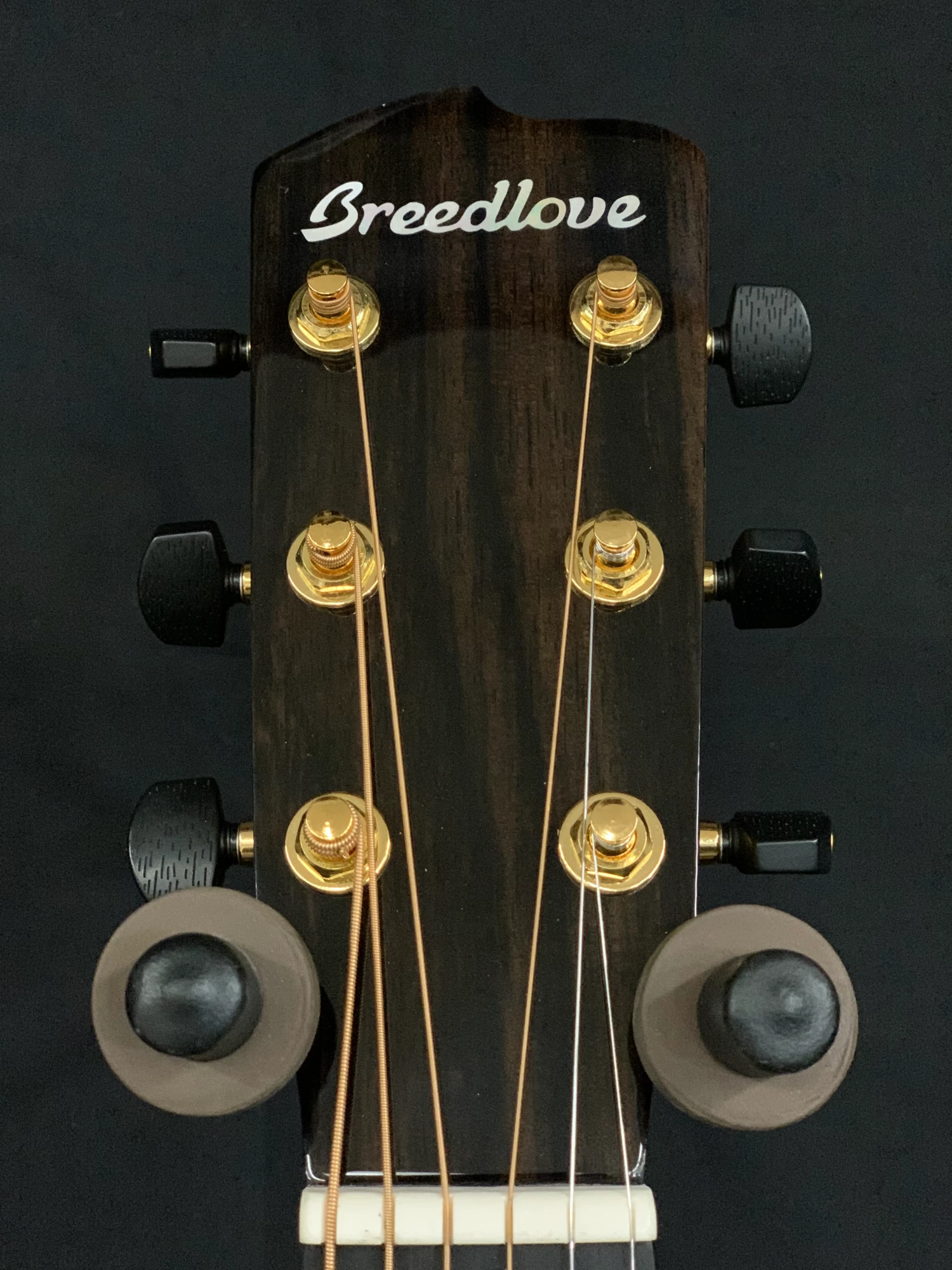 Breedlove Artista Concertina Natural Shadow CE 3 Breedlove Artista Concertina Natural Shadow CE