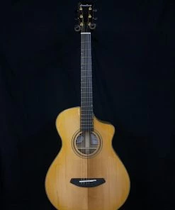 What's New Breedlove Artista Concertina Natural Shadow CE
