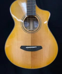 What's New Breedlove Artista Concertina Natural Shadow CE