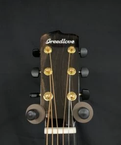 What's New Breedlove Artista Concertina Natural Shadow CE