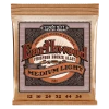 Ernie Ball Earthwood Phospher Bronze Medium Lights Strings