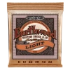 Ernie Ball Earthwood Phospher Bronze Lights Strings