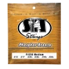 SIT Phosphor Bronze Acoustic Strings Medium