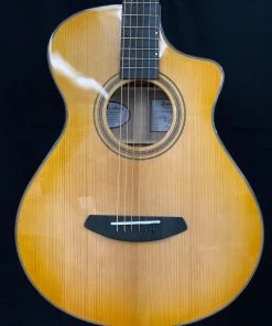 Breedlove Artista Concertina Natural Shadow CE