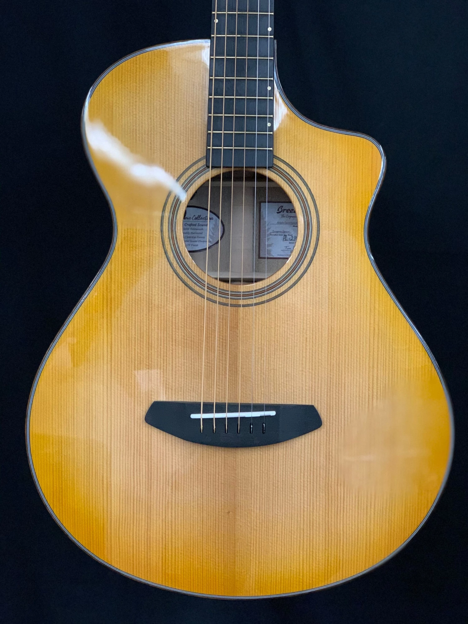 Breedlove Artista Concertina Natural Shadow CE 2 Breedlove Artista Concertina Natural Shadow CE