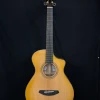 Breedlove Artista Concertina Natural Shadow CE