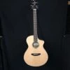 Shivelbine Music What's New Breedlove Ex Concert CE MY