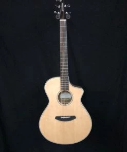 Shivelbine Music What's New Breedlove Ex Concert CE MY