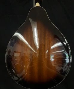 Shivelbine Music Ibanez M510EBS Electric Mandolin What's New