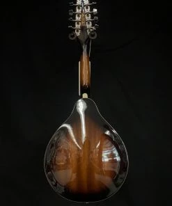 Shivelbine Music Ibanez M510EBS Electric Mandolin What's New