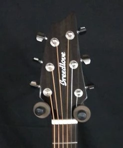 Shivelbine Music What's New Breedlove Ex Concert CE MY