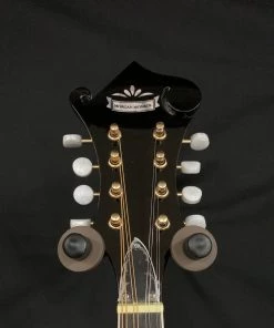 Shivelbine Music Morgan Monroe MM-100FM What's New