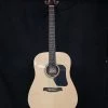 Walden D350 Dreadnought Acoustic - Gloss Natural What's New