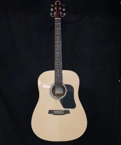 Walden D350 Dreadnought Acoustic - Gloss Natural What's New