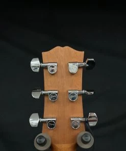 Shivelbine Music What's New Gibson DSMCE Acoustic Electric W/case