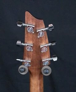 Shivelbine Music What's New Breedlove Ex Concert CE MY