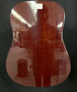 Walden D350 Dreadnought Acoustic - Gloss Natural What's New