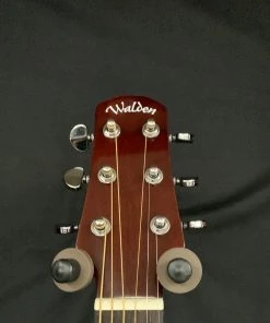 What's New Walden D450 Dreadnought Acoustic- Gloss Natural 6 What's New Walden D450 Dreadnought Acoustic- Gloss Natural