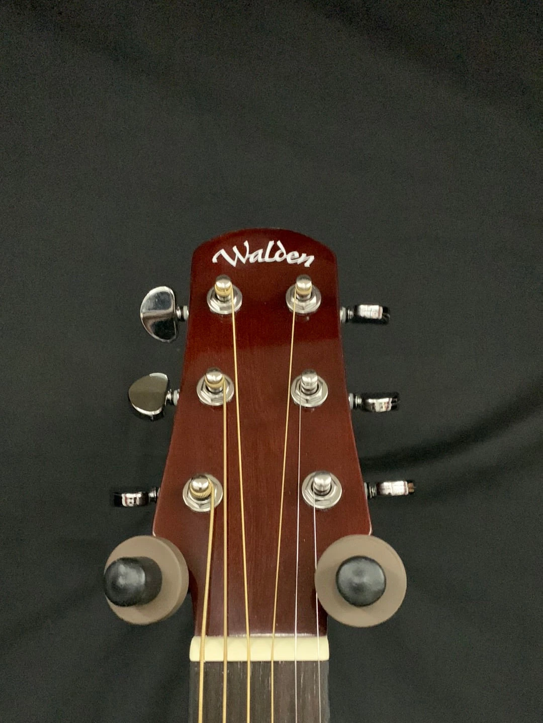 What's New Walden D450 Dreadnought Acoustic- Gloss Natural 3 What's New Walden D450 Dreadnought Acoustic- Gloss Natural