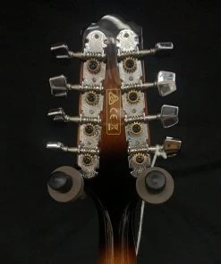 Shivelbine Music Ibanez M510EBS Electric Mandolin What's New