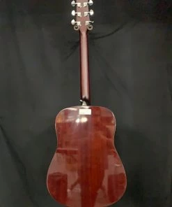 Walden D350 Dreadnought Acoustic - Gloss Natural What's New