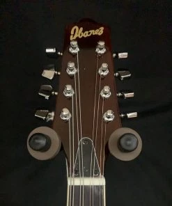 Shivelbine Music Ibanez M510EBS Electric Mandolin What's New