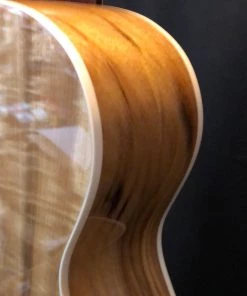 Shivelbine Music What's New Breedlove Ex Concert CE MY