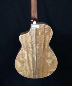 Shivelbine Music What's New Breedlove Ex Concert CE MY