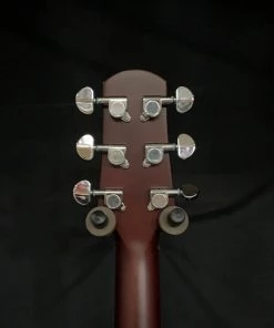 Walden D350 Dreadnought Acoustic - Gloss Natural What's New