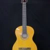 Shivelbine Music Walden N350 Nylon String Guitar