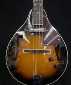 Shivelbine Music Ibanez M510EBS Electric Mandolin What's New