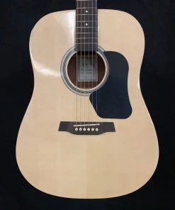 Walden D350 Dreadnought Acoustic - Gloss Natural What's New