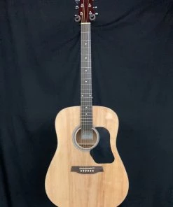 What's New Walden D450 Dreadnought Acoustic- Gloss Natural