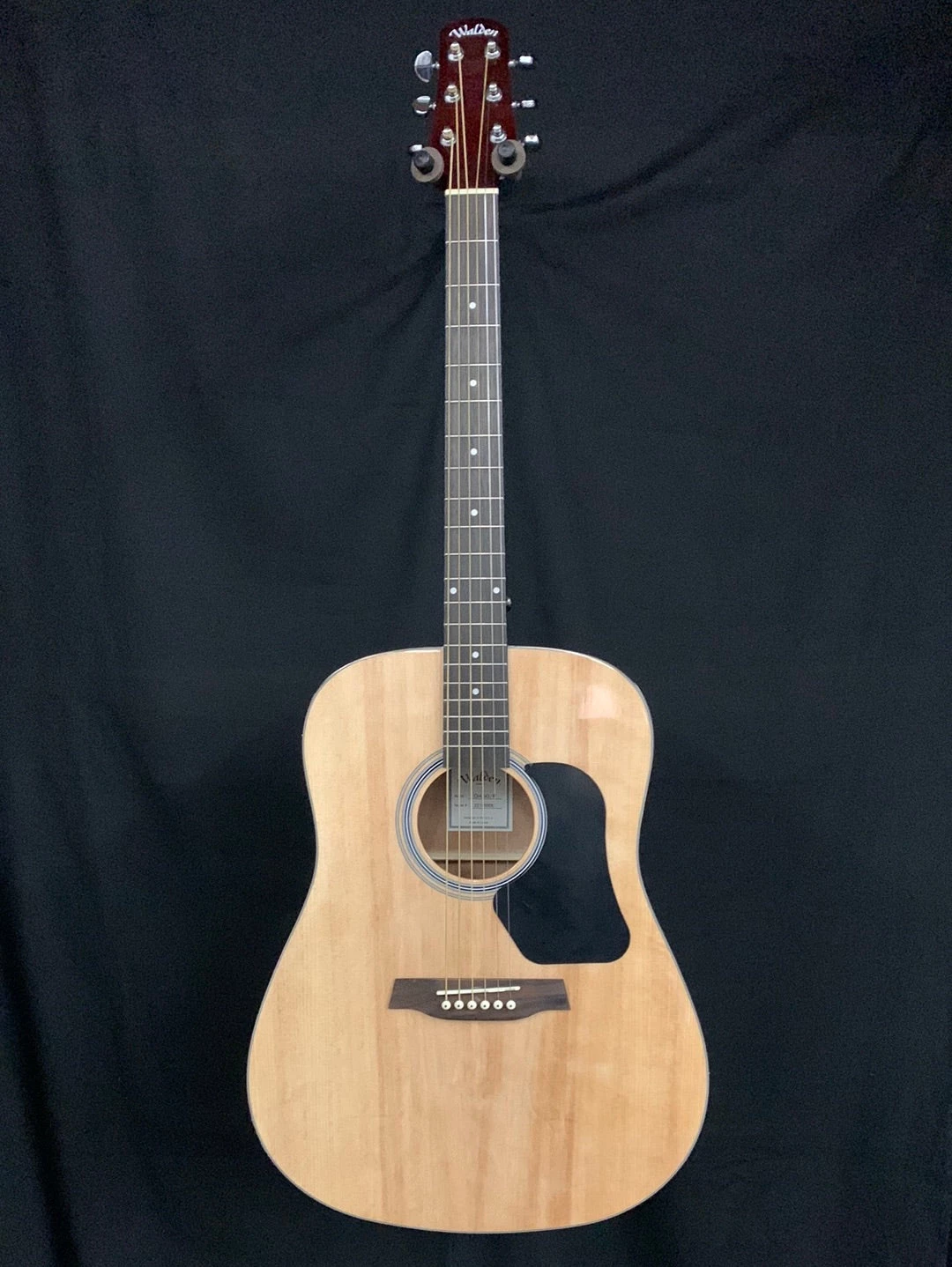 What's New Walden D450 Dreadnought Acoustic- Gloss Natural 1 What's New Walden D450 Dreadnought Acoustic- Gloss Natural