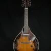 Shivelbine Music Ibanez M510EBS Electric Mandolin What's New