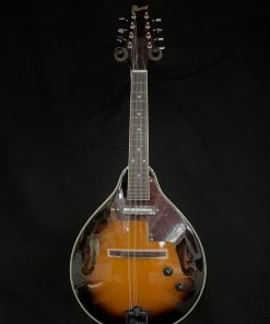 Shivelbine Music Ibanez M510EBS Electric Mandolin What's New