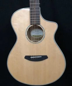 Shivelbine Music What's New Breedlove Ex Concert CE MY