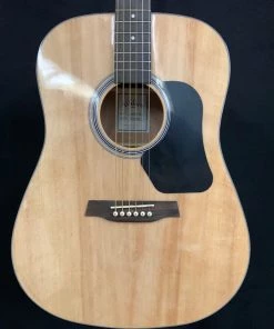 What's New Walden D450 Dreadnought Acoustic- Gloss Natural