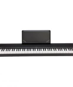 Shivelbine Music KORG B2N Black