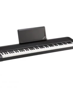 Shivelbine Music KORG B2N Black