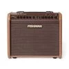 Fishman Mini Charge Battery Powered Amplifier