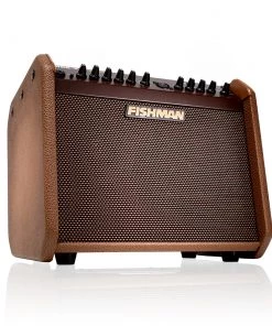 Fishman Mini Charge Battery Powered Amplifier