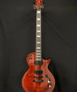 LTD LEC 1001 Tigers Eye